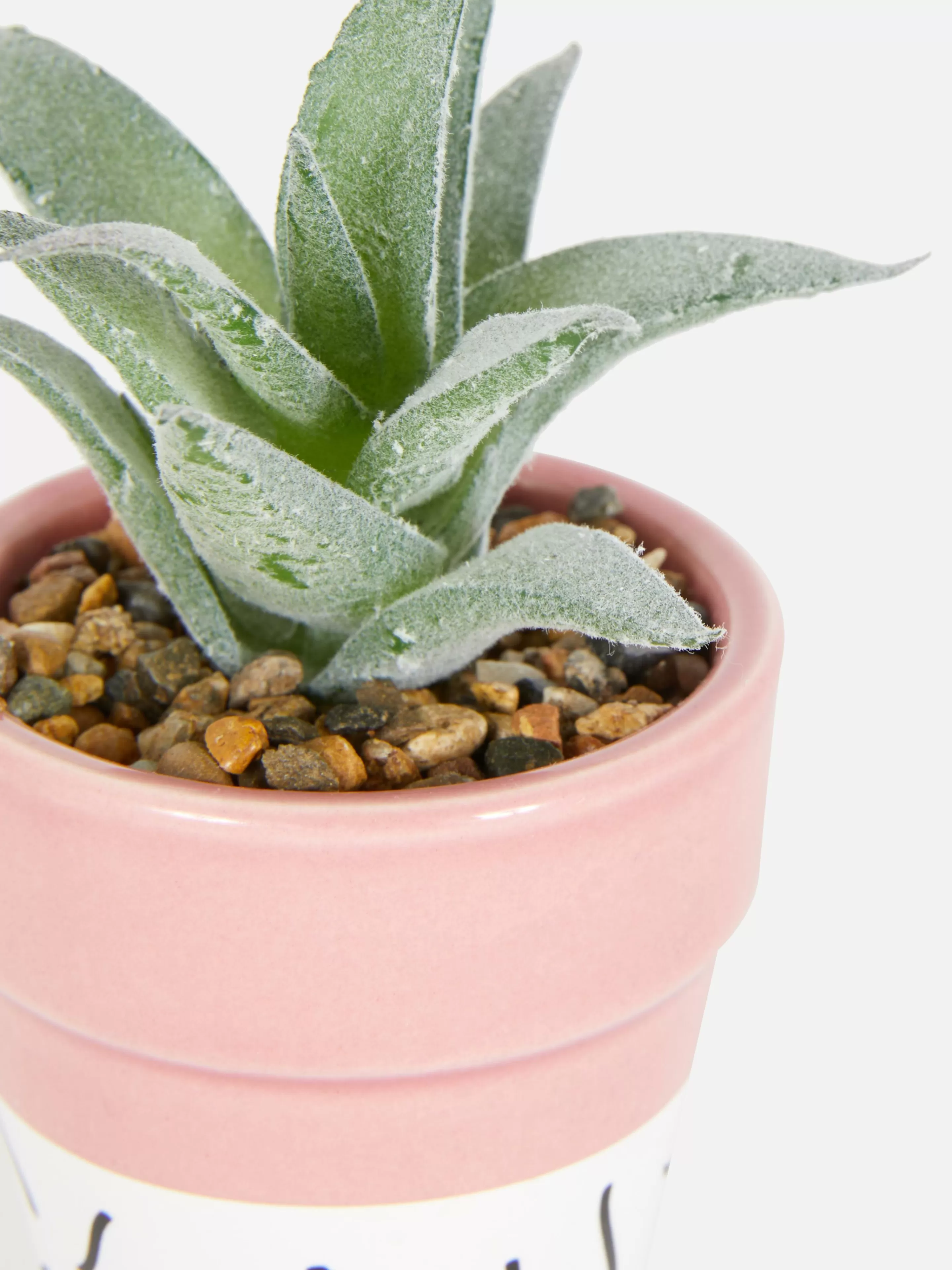 Primark Plantas Y Flores Artificiales | Suculenta Artificial En Un Colorido Macetero